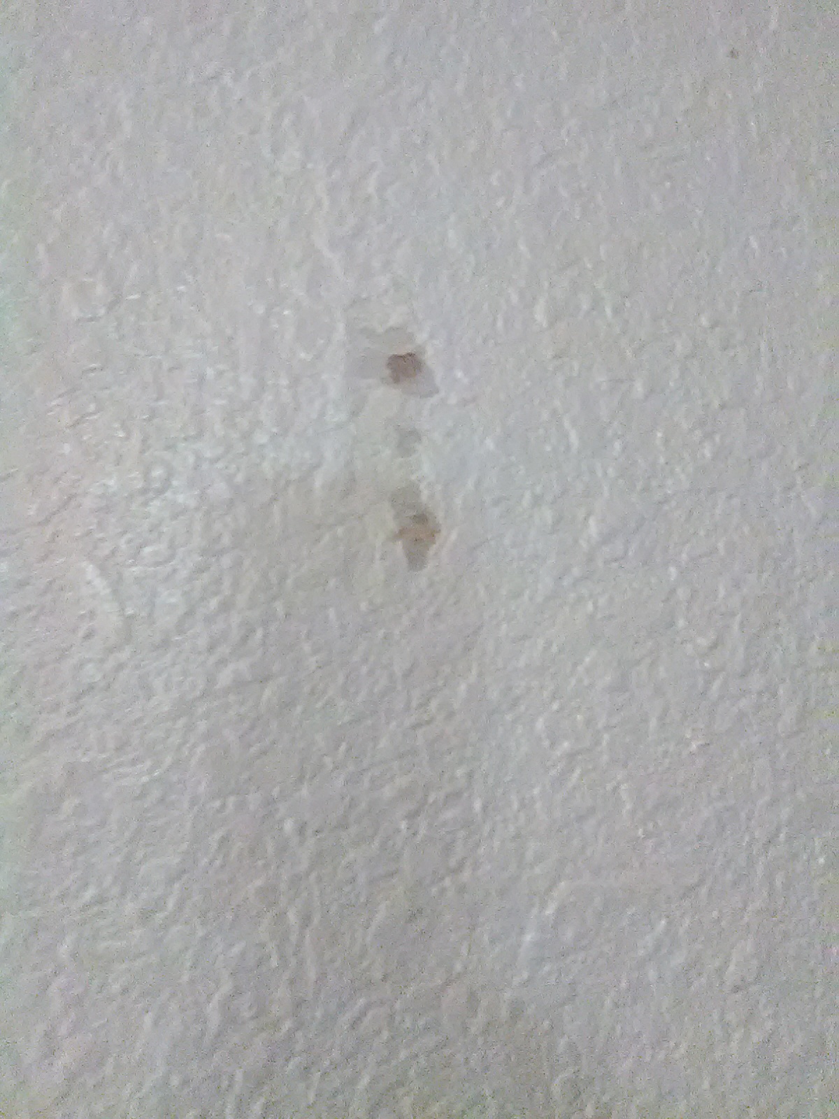 Ding In Wall