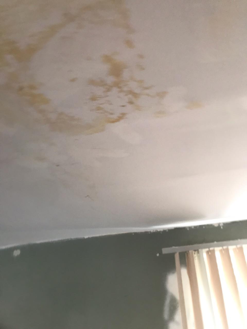 Ceiling damage (after repairs had been made)