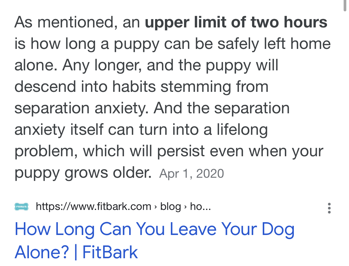 Recommended time to leave a puppy alone