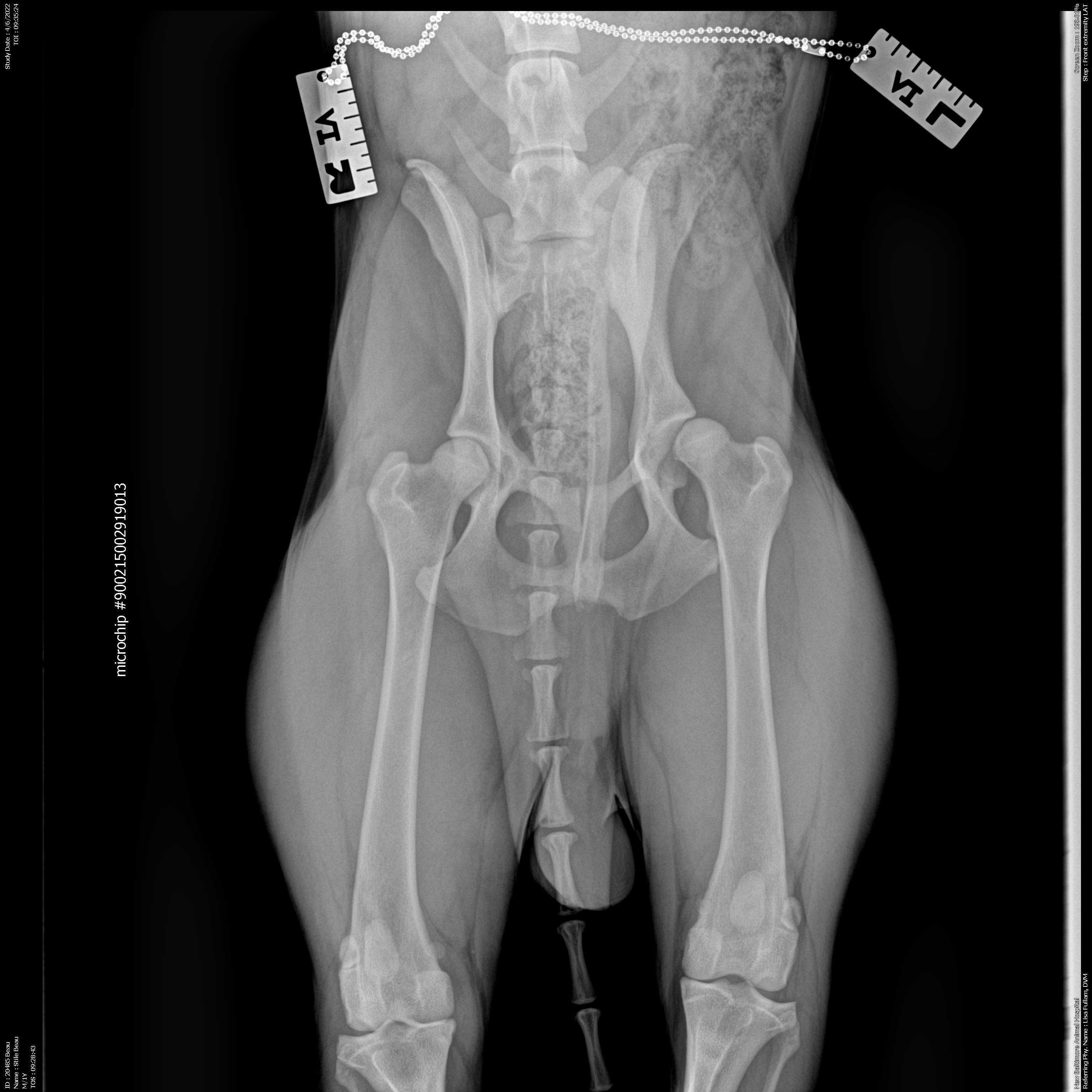 Xray submitted to OFA 