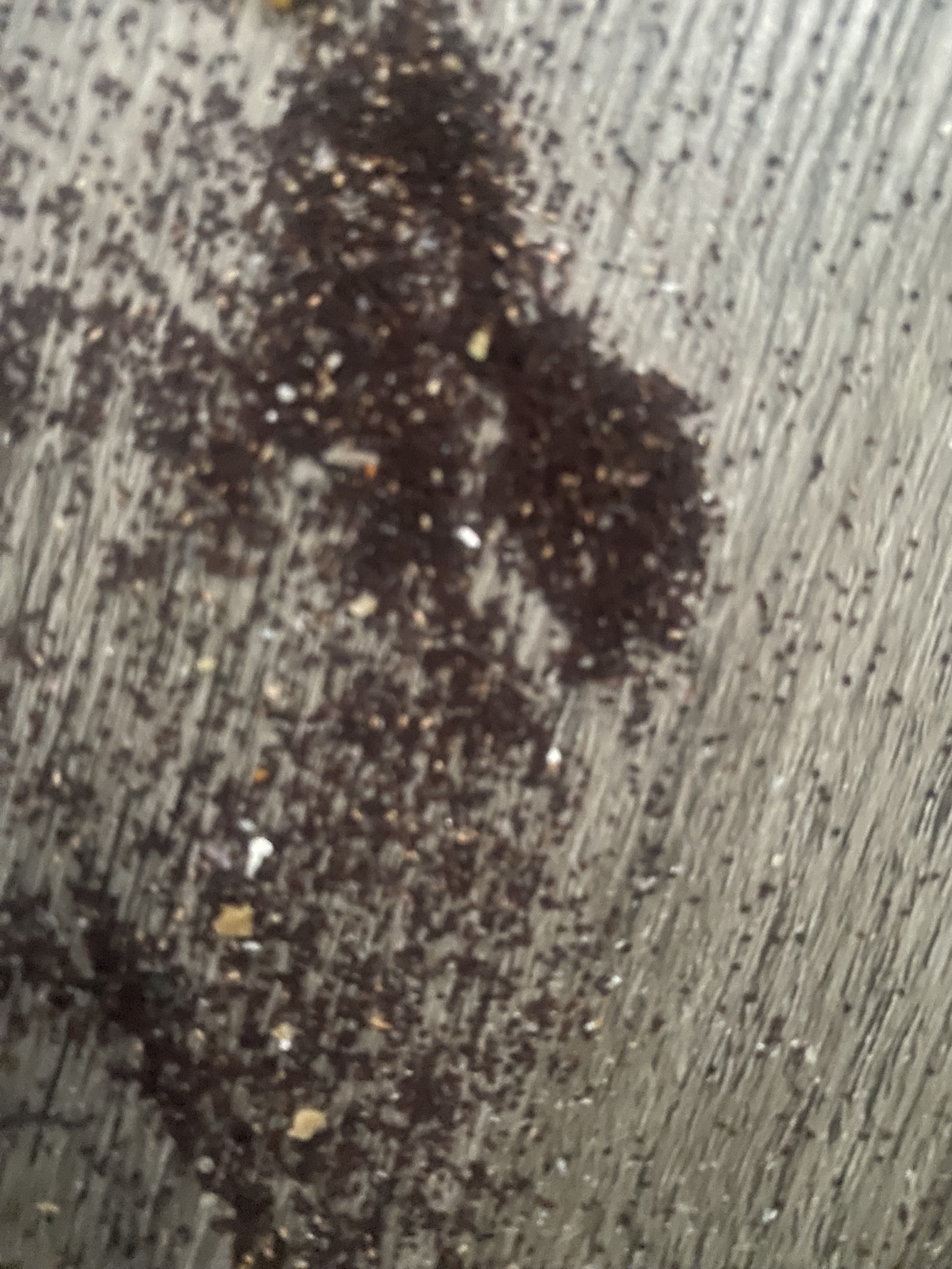 Termites droppings