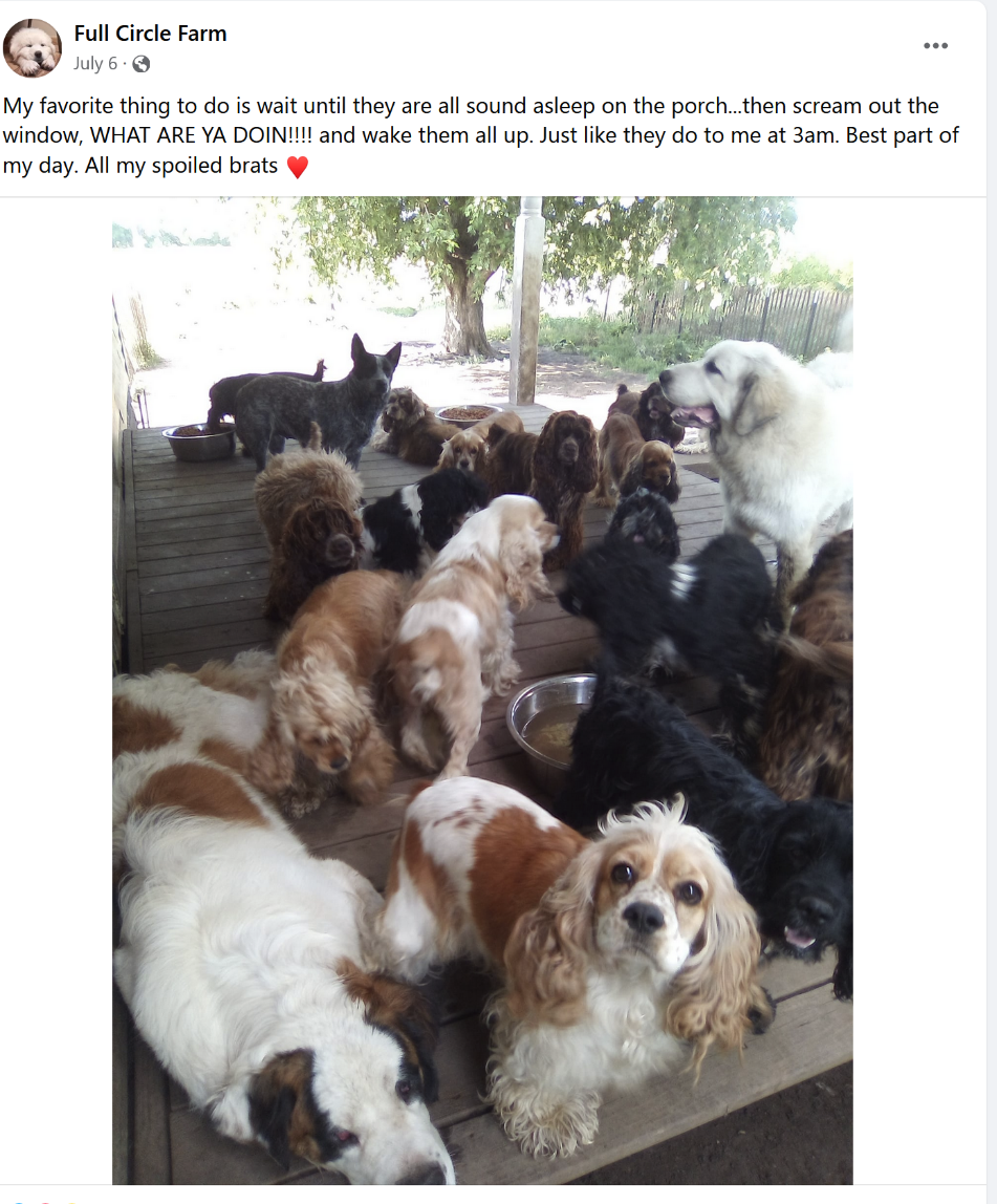 From Mike Will's Facebook page, how his dogs live 