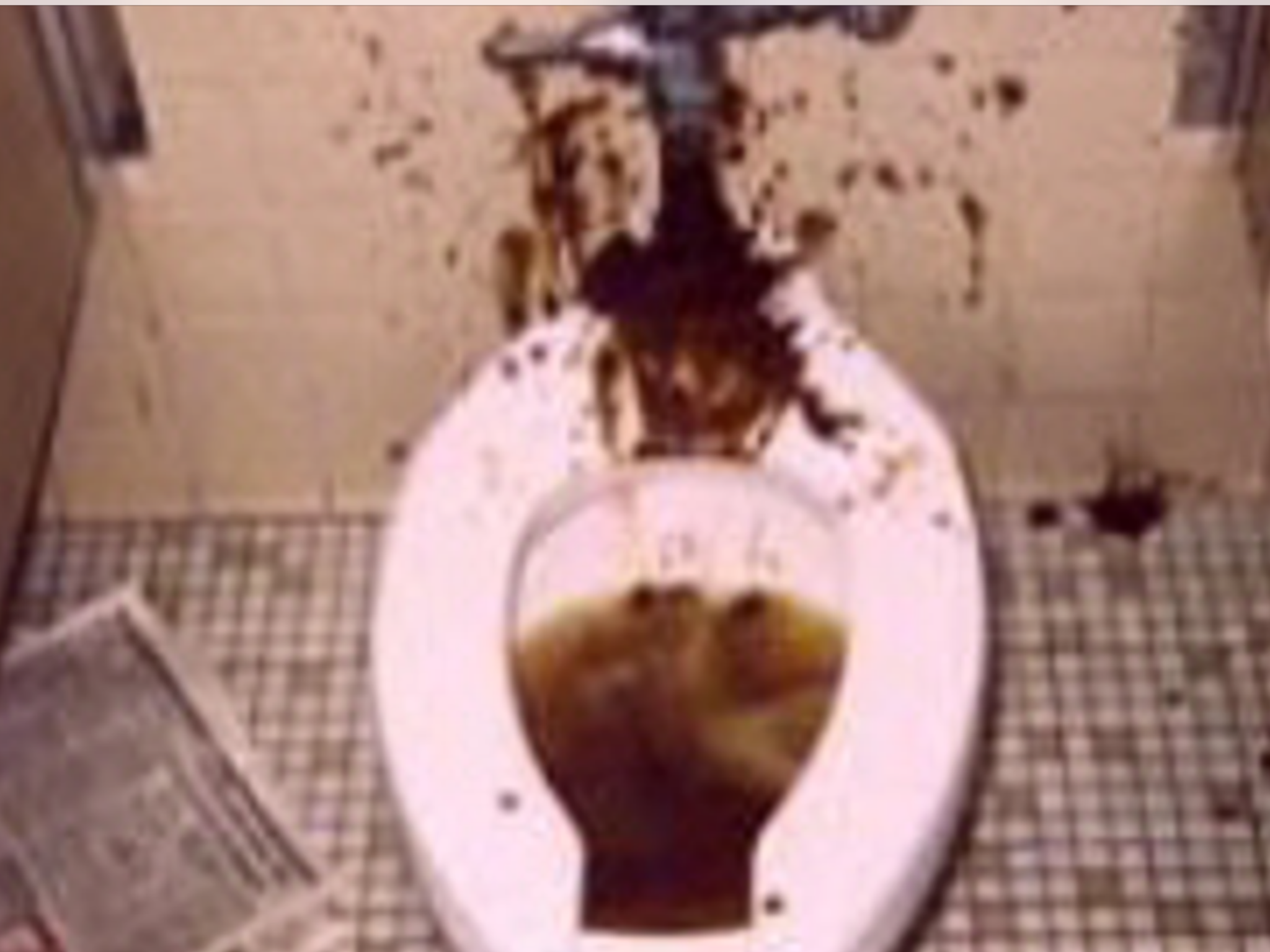 FLUSH BANK OF AMERICA DOWN THE TOILET