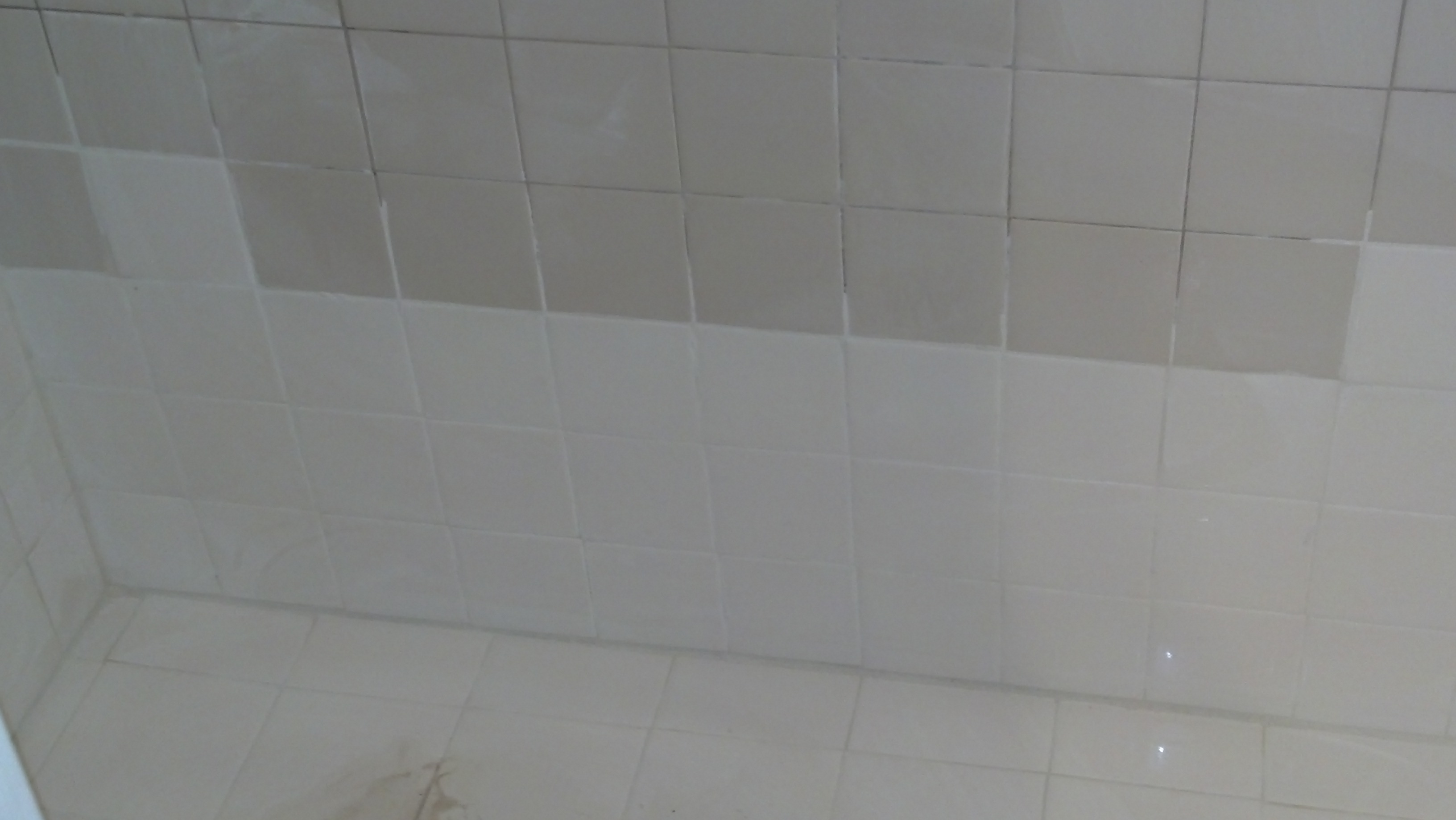 mismatch tile(mostly shower)