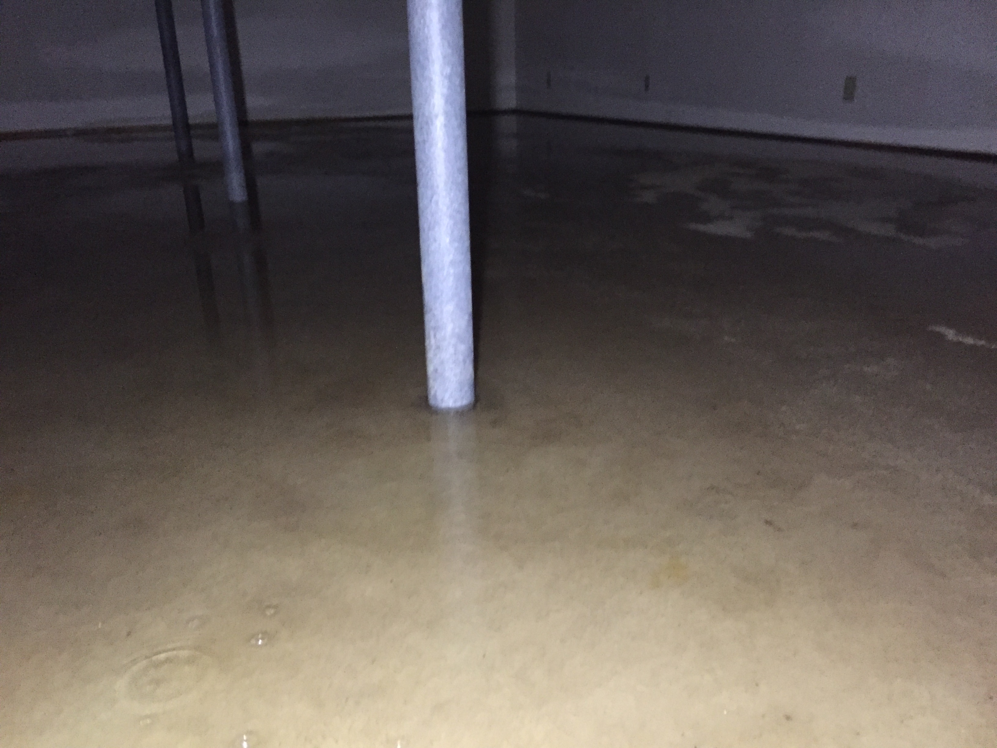 flooded basement due to power being shut off after I won the auction