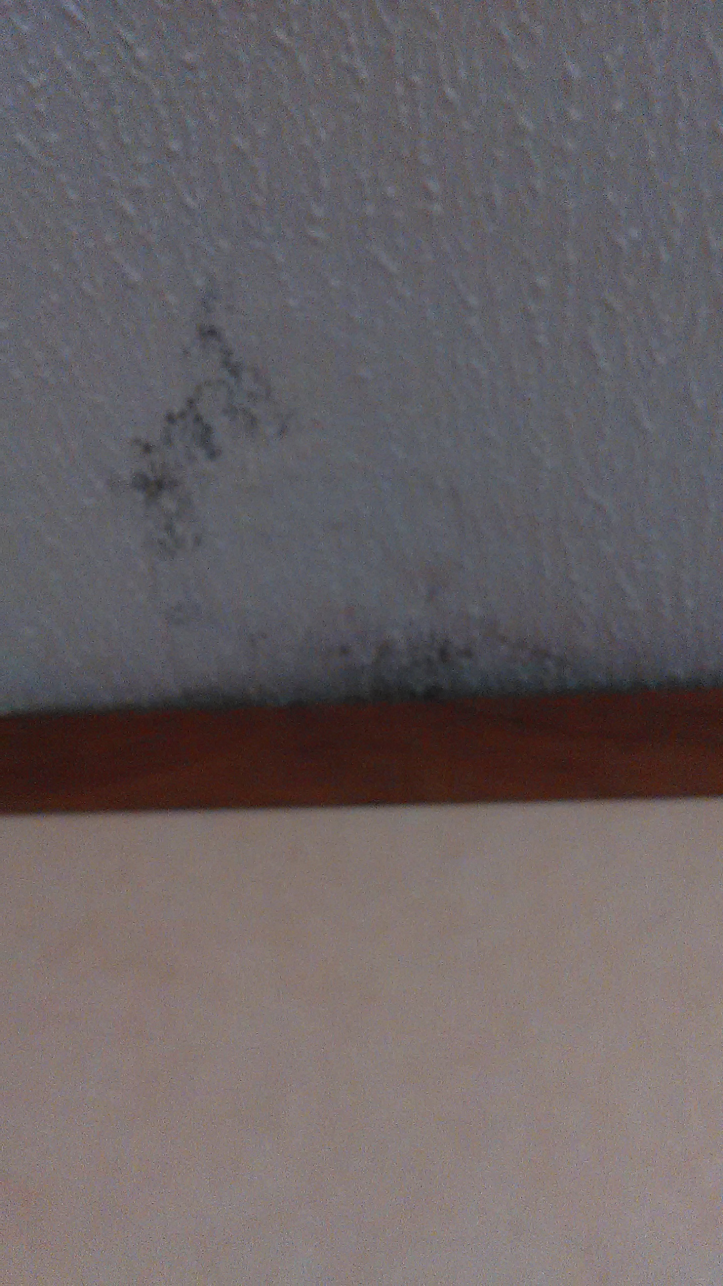 This is evidence of water damage from the outside of our home, leaking into the inside the bedroom ceiling and wall.   