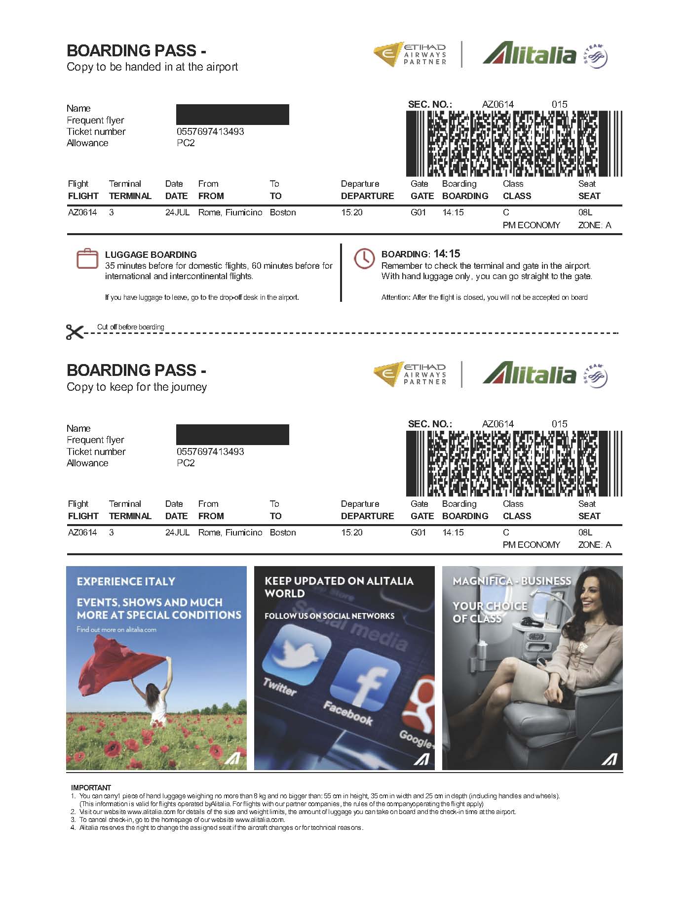 Actual Boarding Passes Page 3