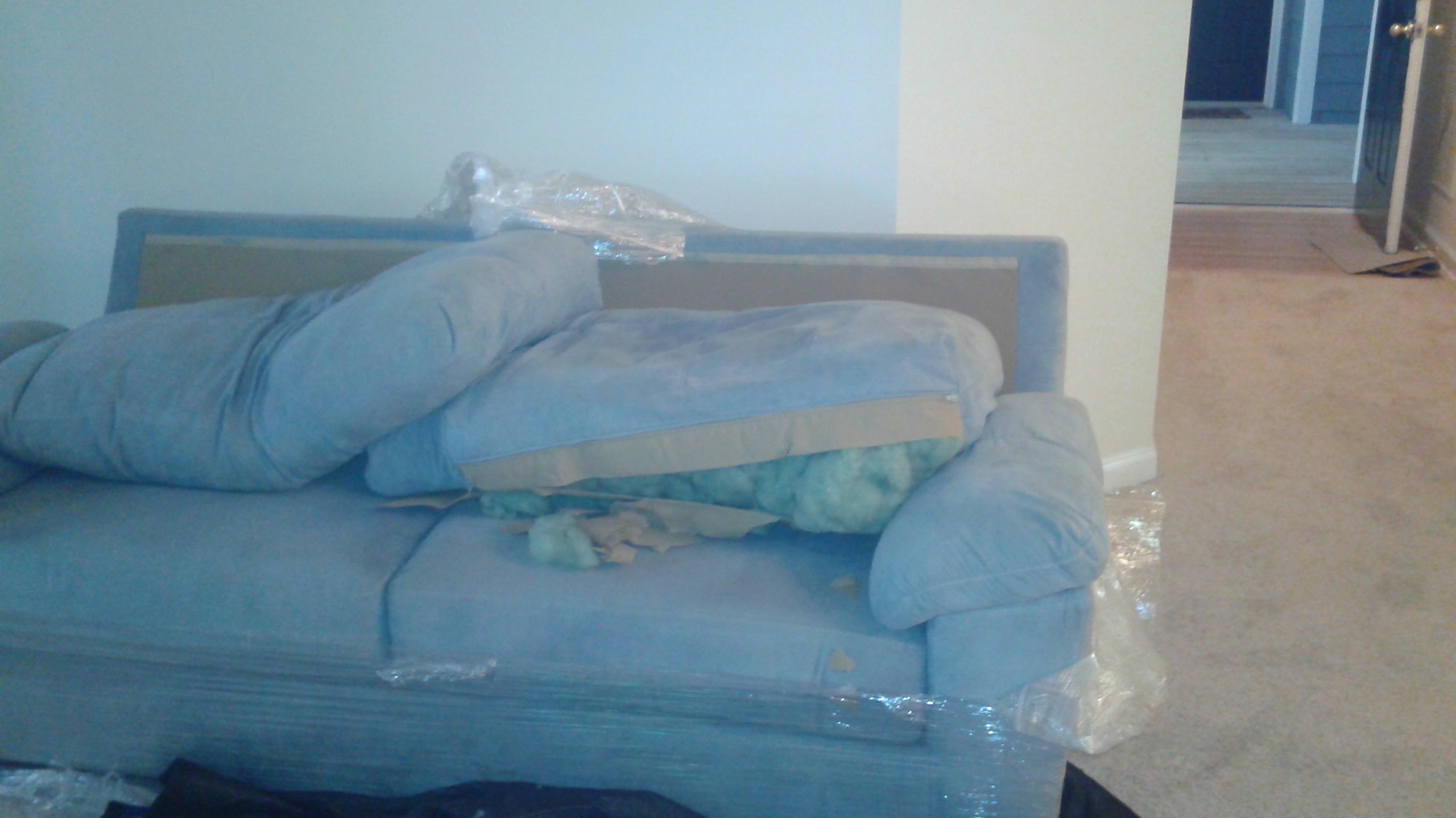 Damaged couch pillow