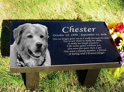 My beloved dog died after accidently consuming flaked paint from a 1st-art-gallery painting contaminated with lead. RIP Chester