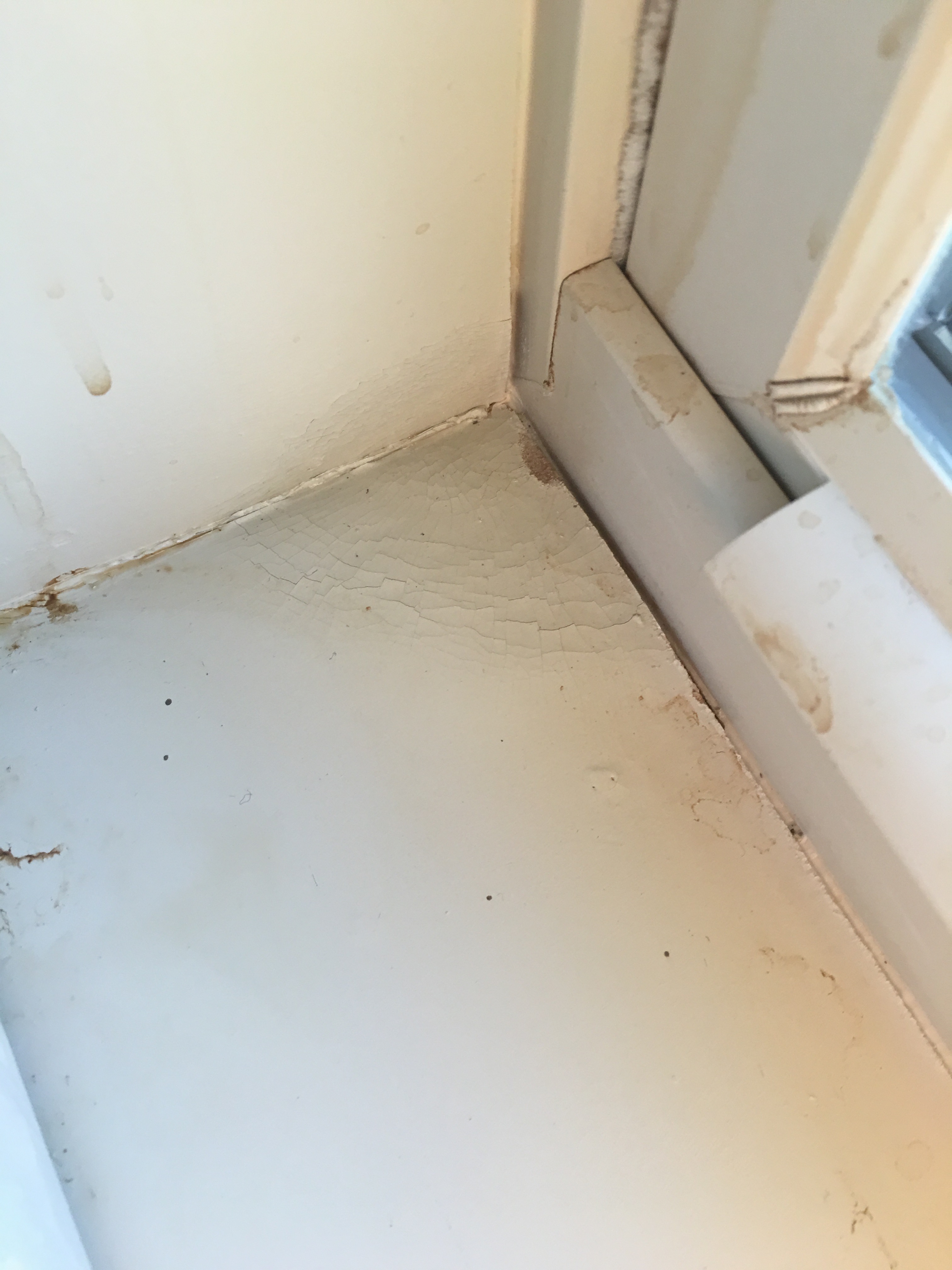 swelling from water intrusion into walls 