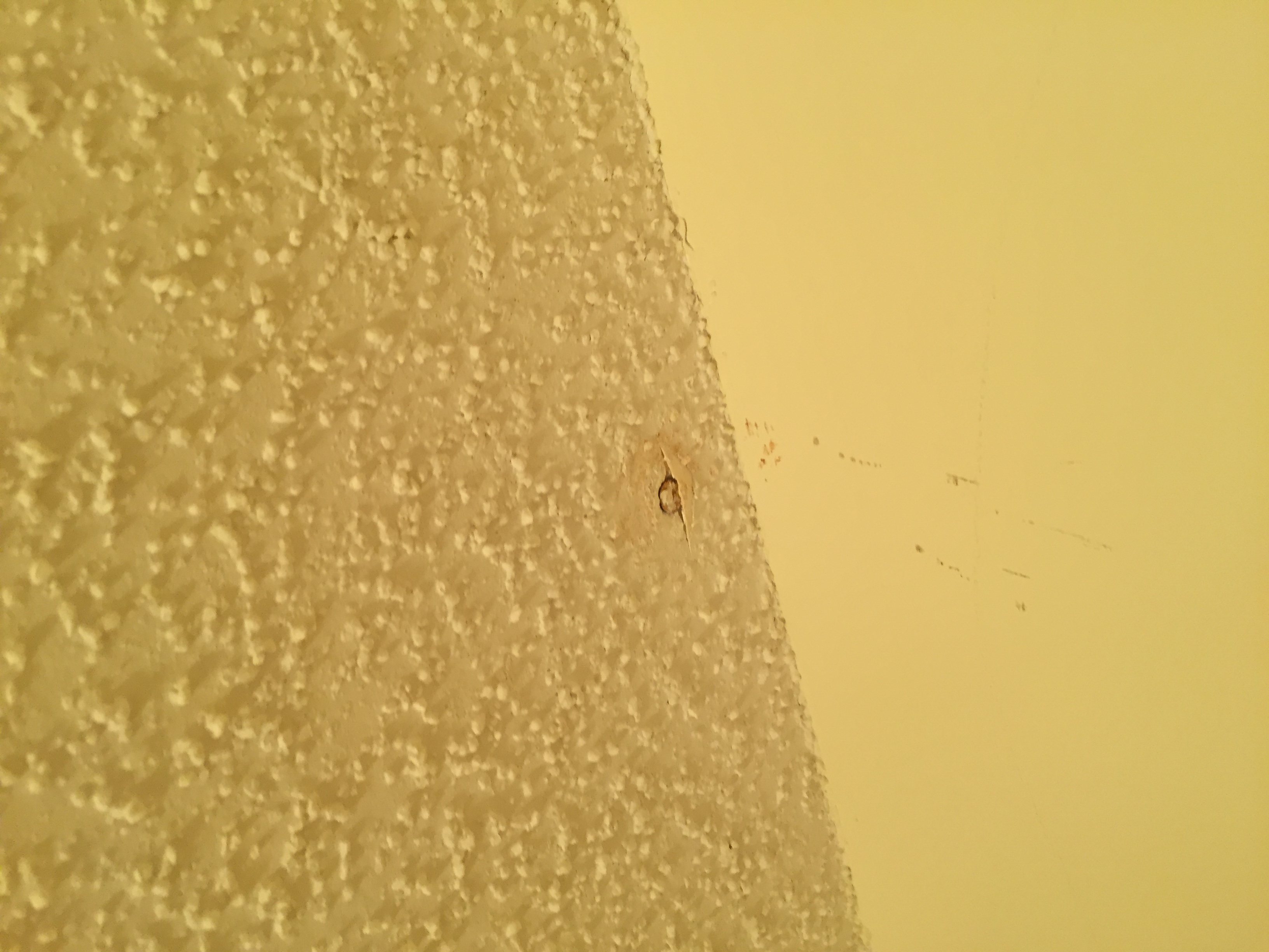 Nail popping out of hall way bathroom ceiling 