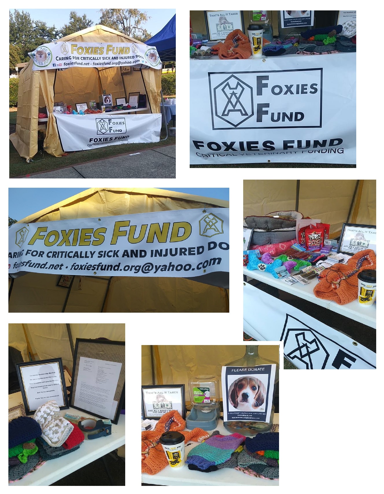 Foxies Fund Stall @Norcross Festival