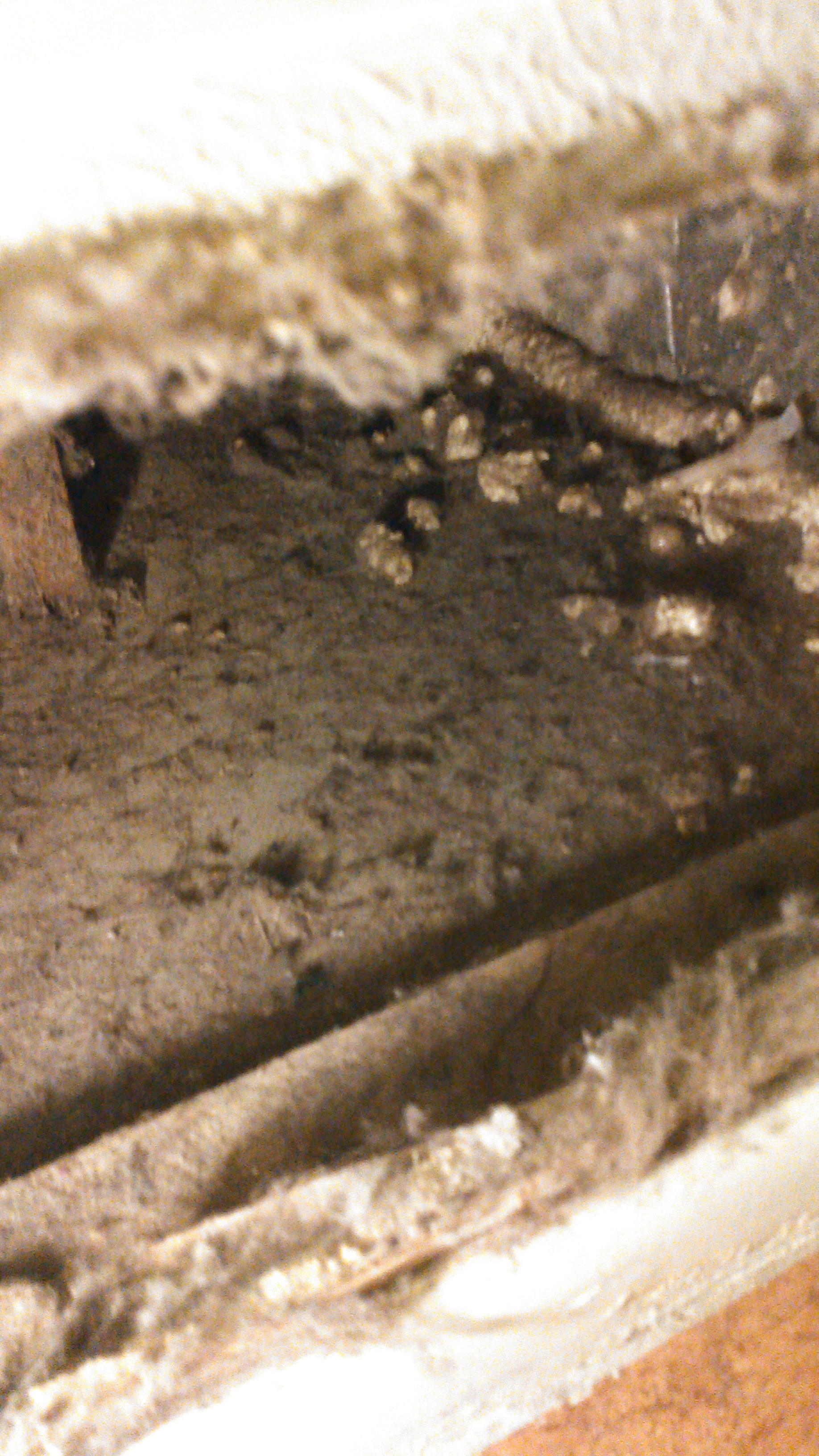 Area beneath furnace