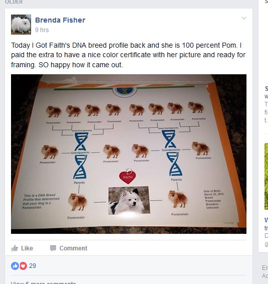 Brenda Fisher fake forged DNA test on Faith1 