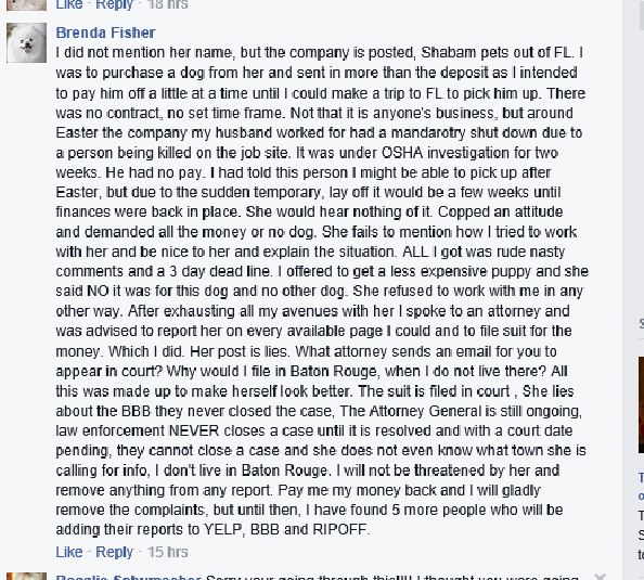 Brenda Fisher lying post to defame breeder