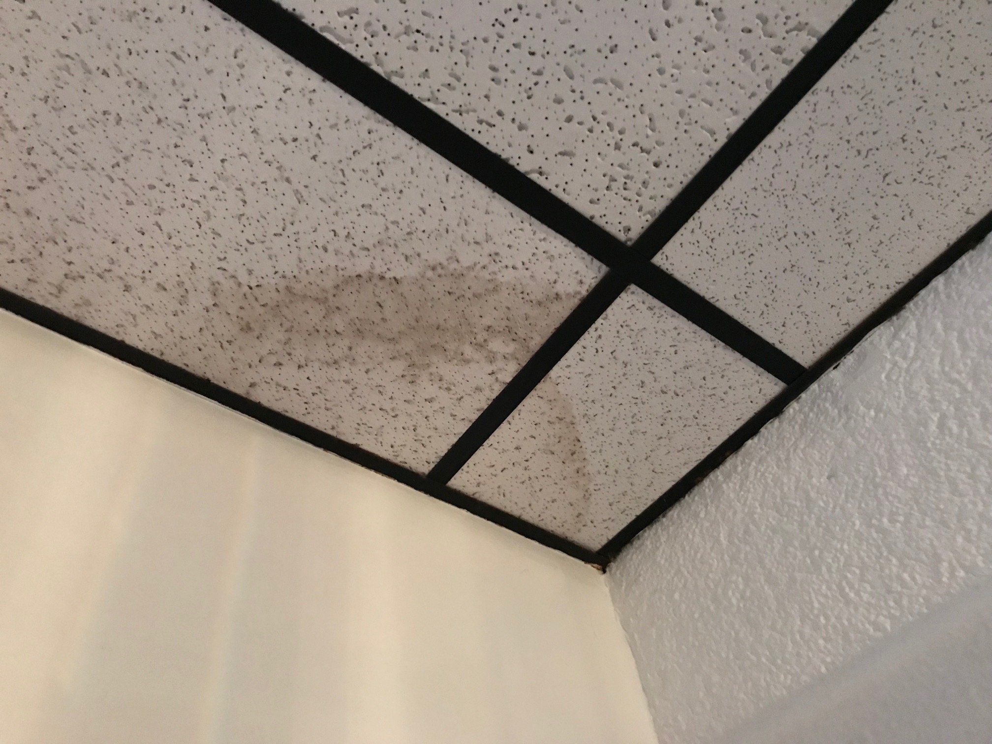 Leaks on the ceiling