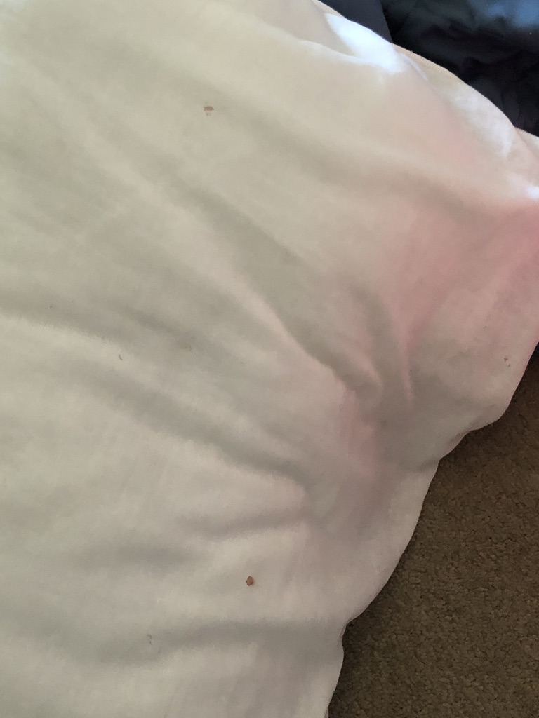 Blood stained pillow case