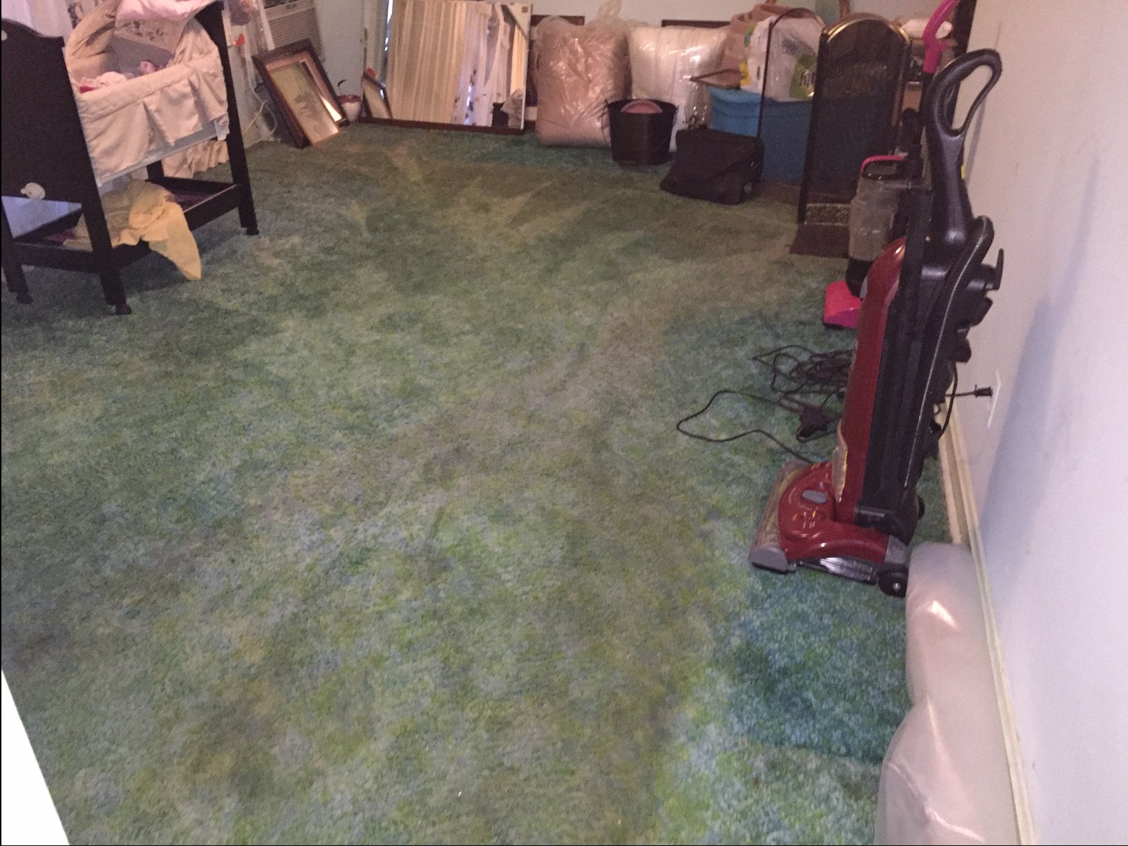 The carpet was 4 inches under water.