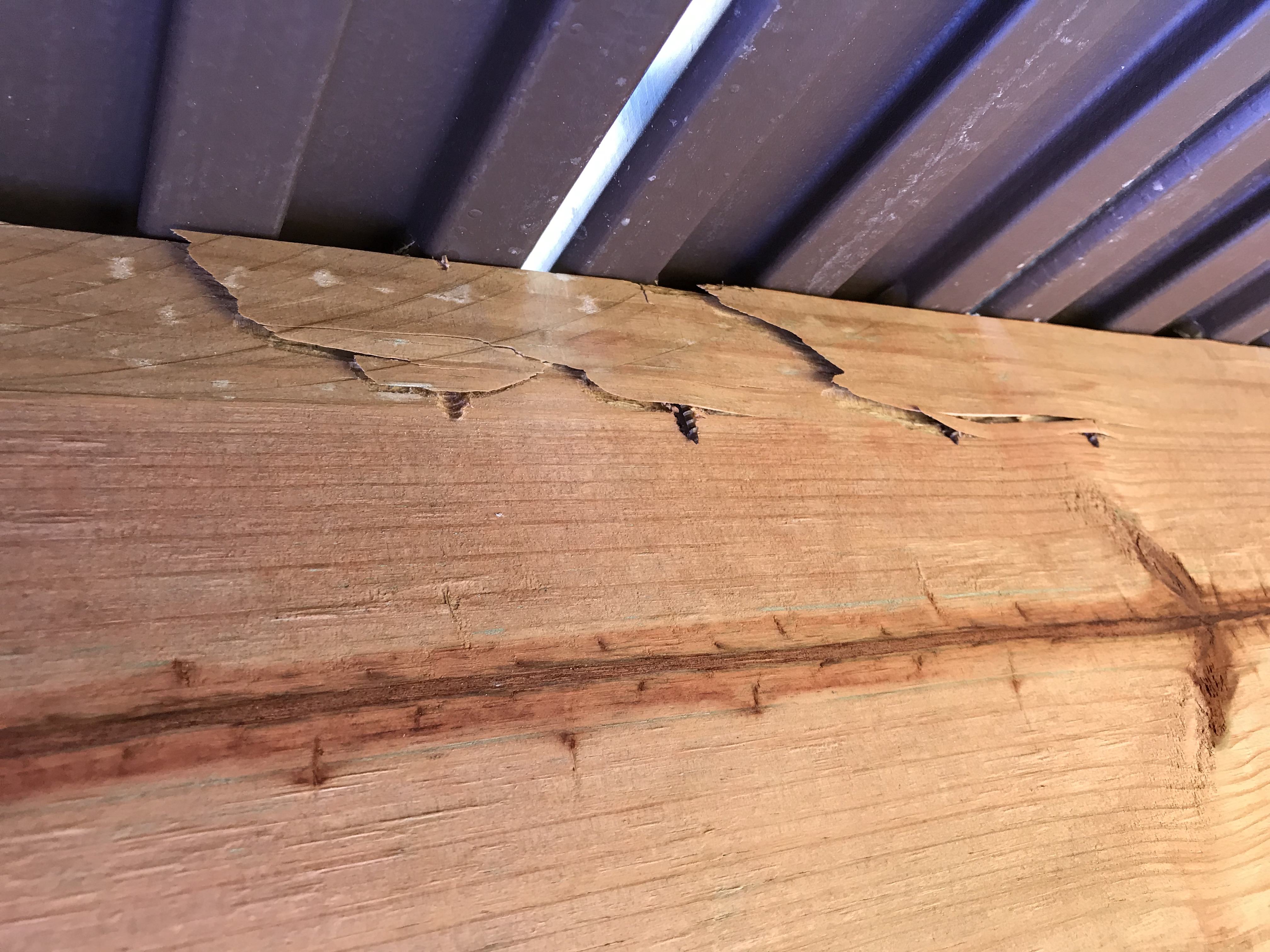 deck screws protruding from frame board