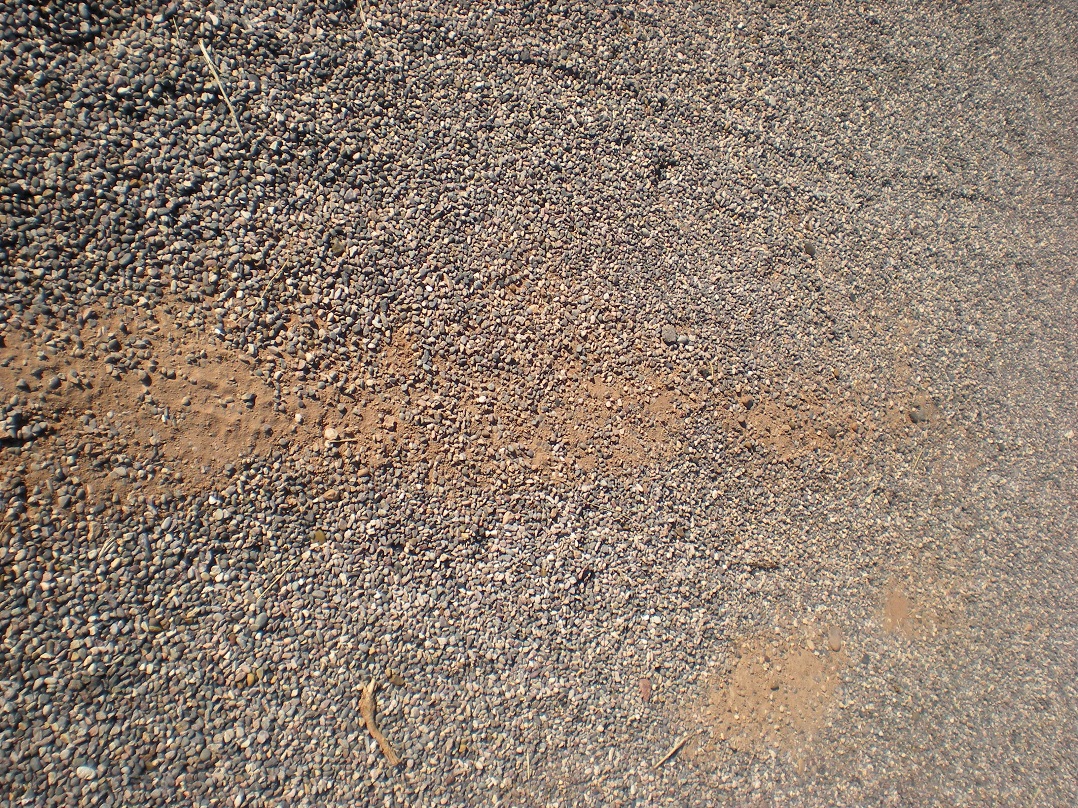 No tar under gravel not long after installed. 
