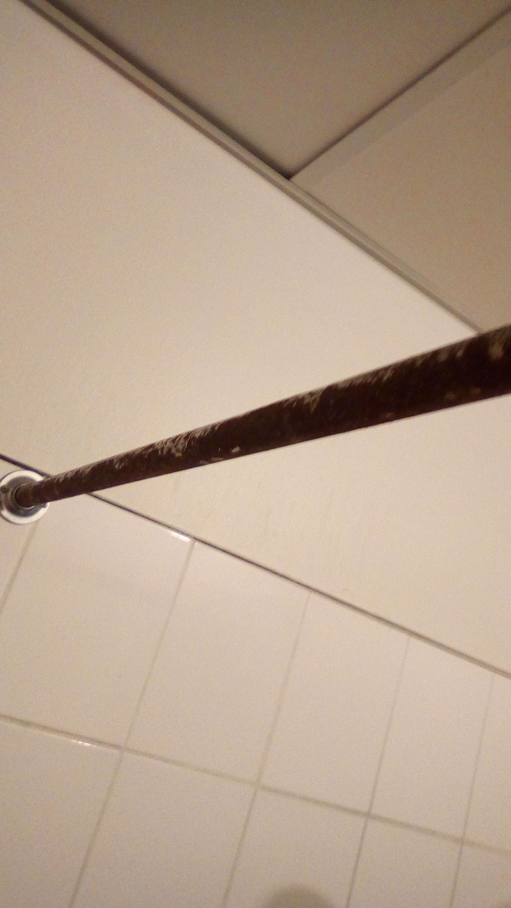 Rusty Metal Shower Frame And Rod