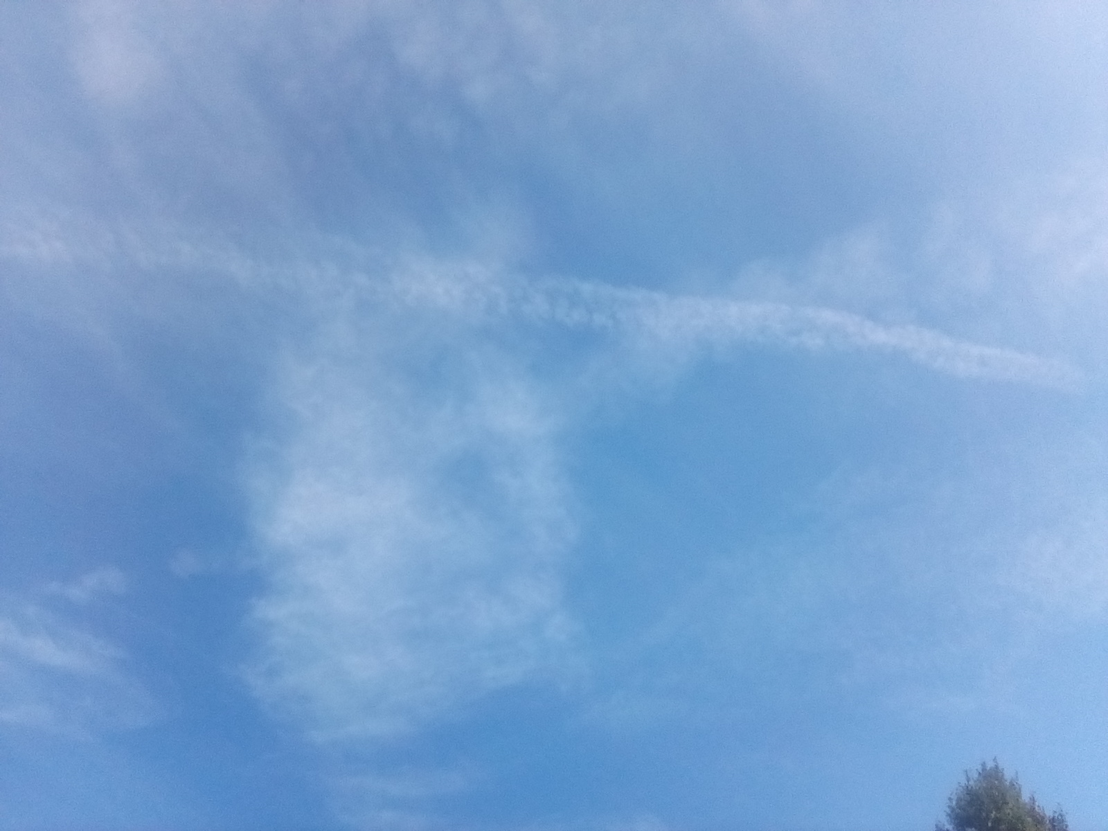 Chemtrails 1