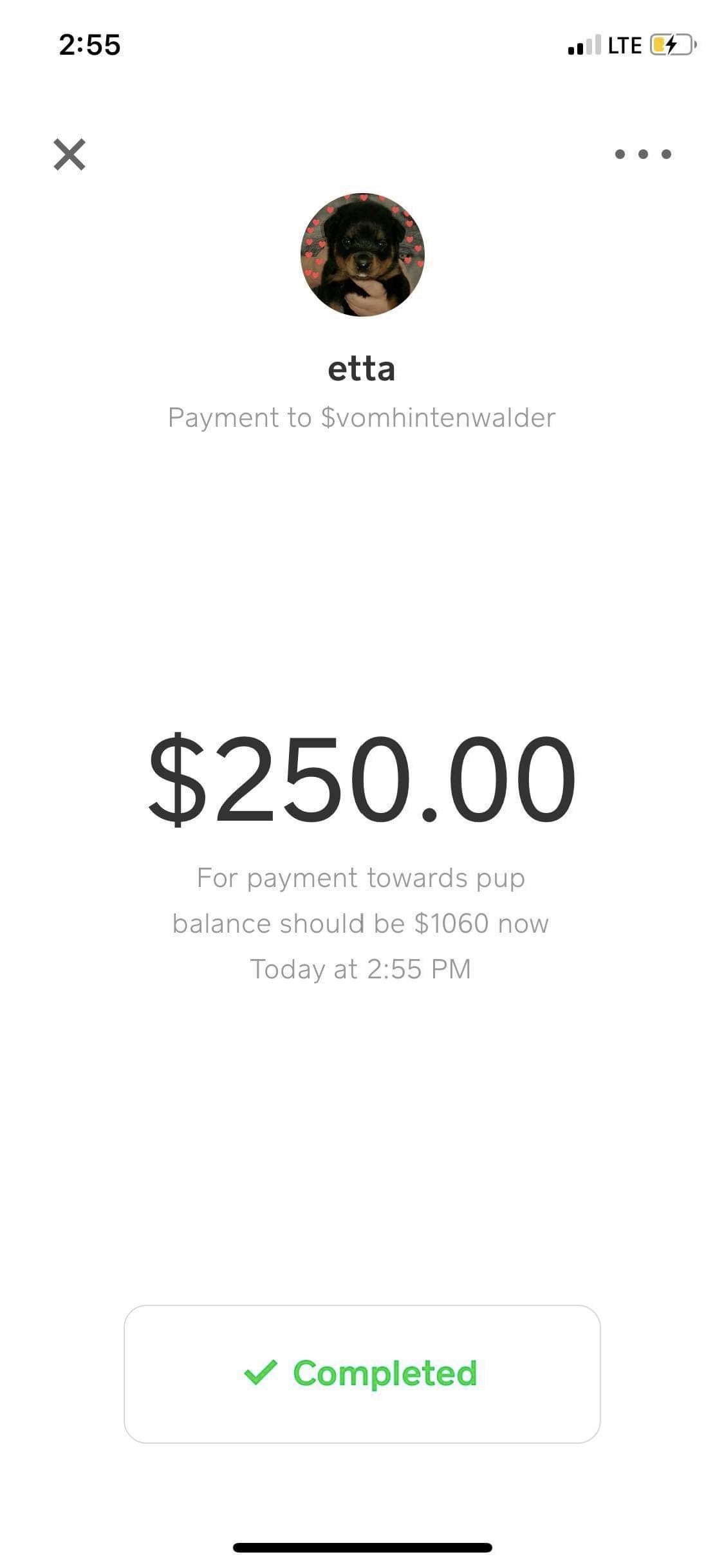 $250 payment 