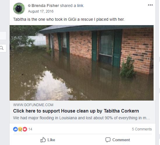 Tabitha Wakefield flood scam