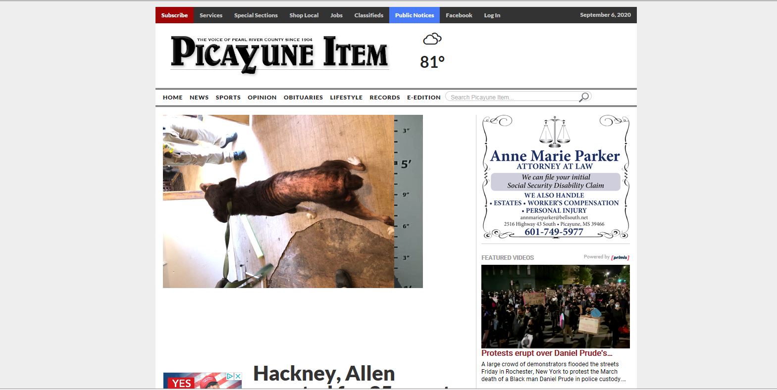 Hackney Newss Item1