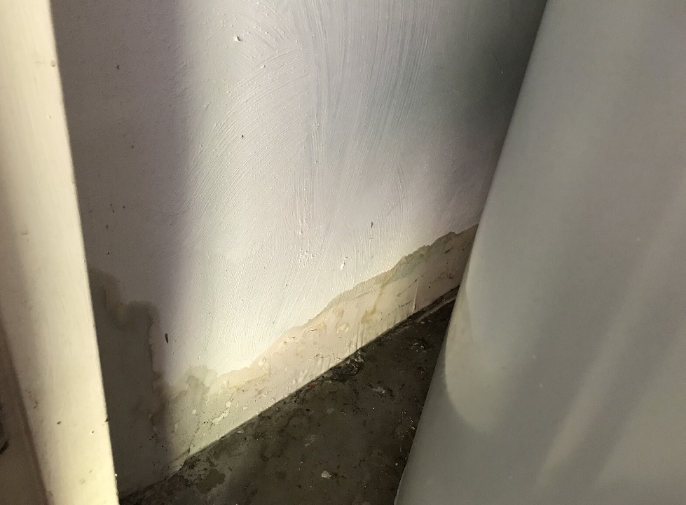 Damage to dry wall where mold is now forming