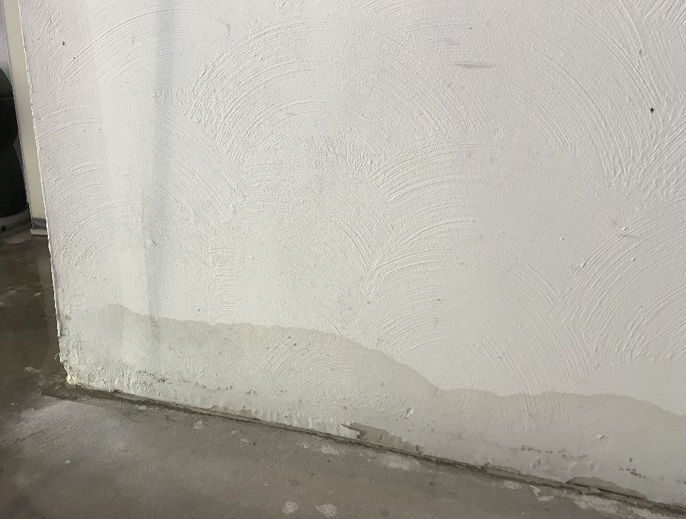 Damage to dry wall where mold is now forming