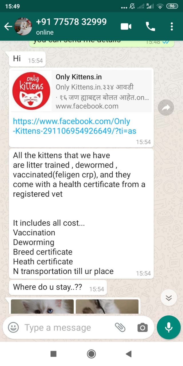 Seller’s Claim about kittens sold 