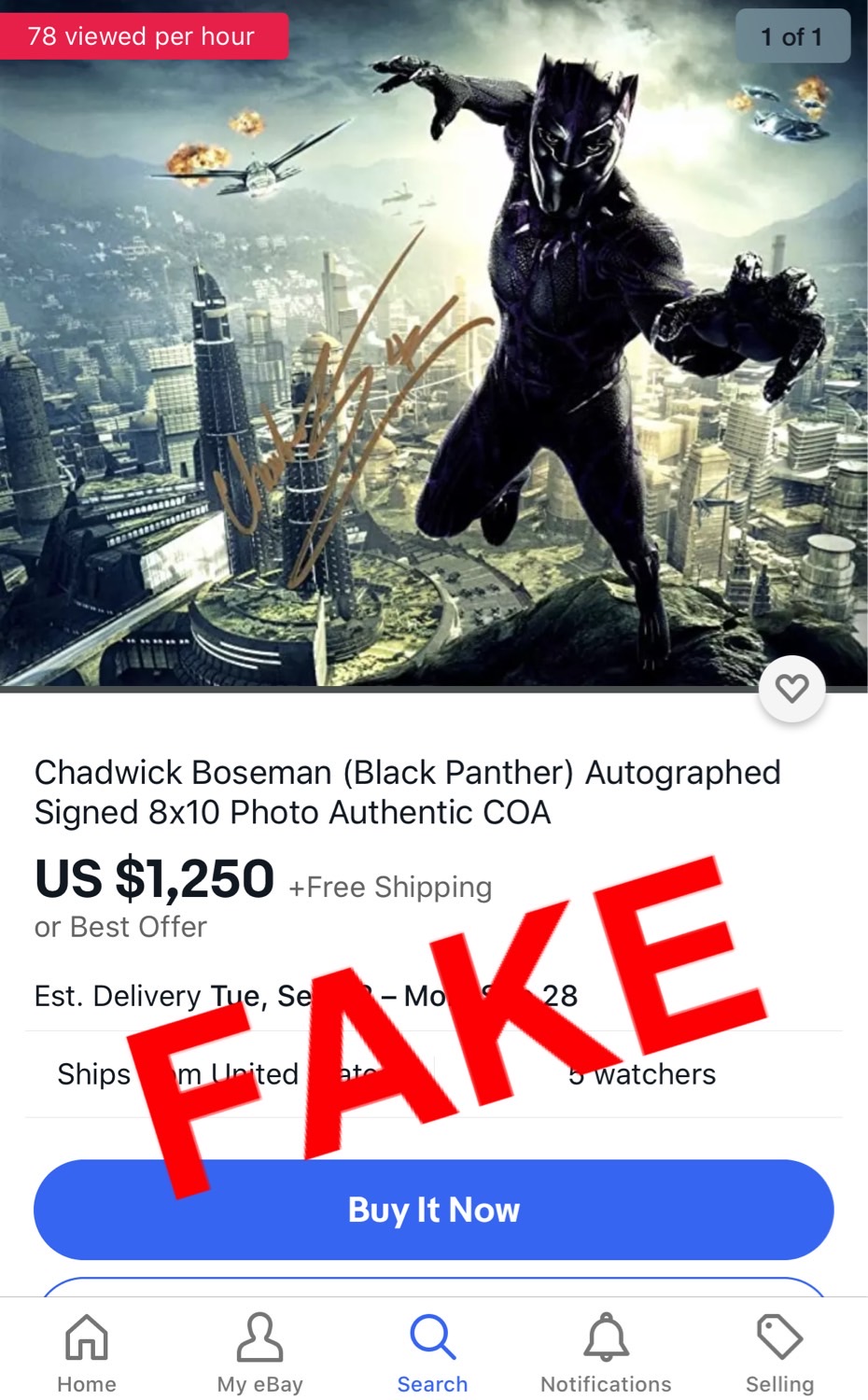 Chadwick fake