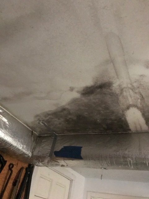 mold in basement where washer/dryer was