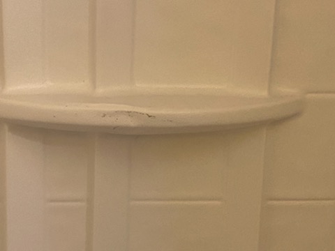 Damaged shower wall