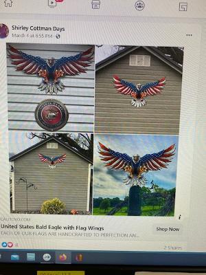 eagle as shown in ad on Facebook