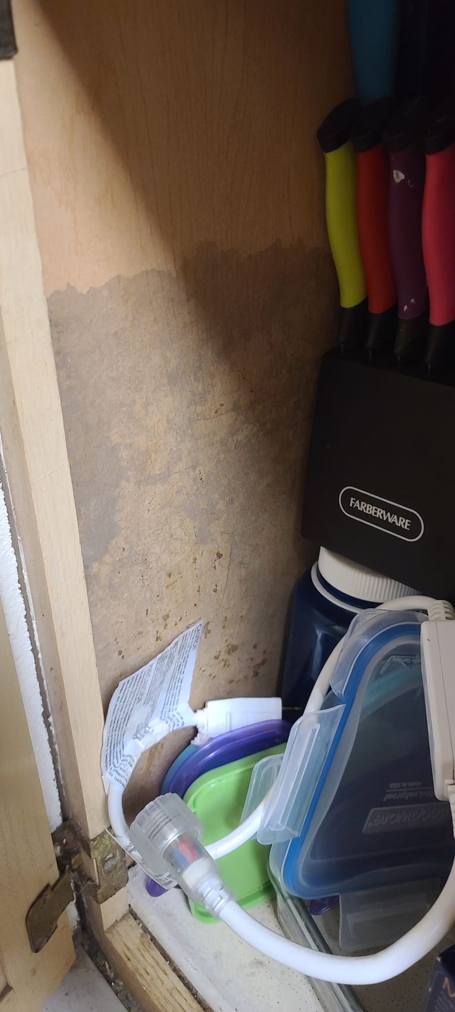 Mold in kitchen cabinets
