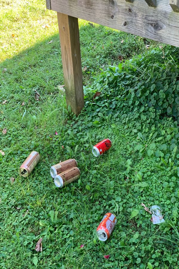Cans scattered in yard