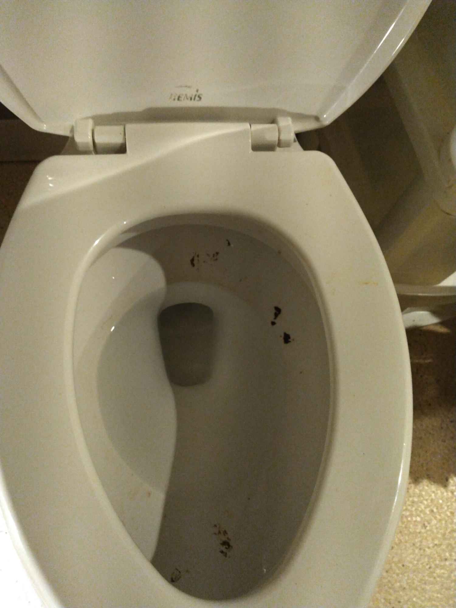 Filthy Toilet in $8,000 Janitor Closet Room,
