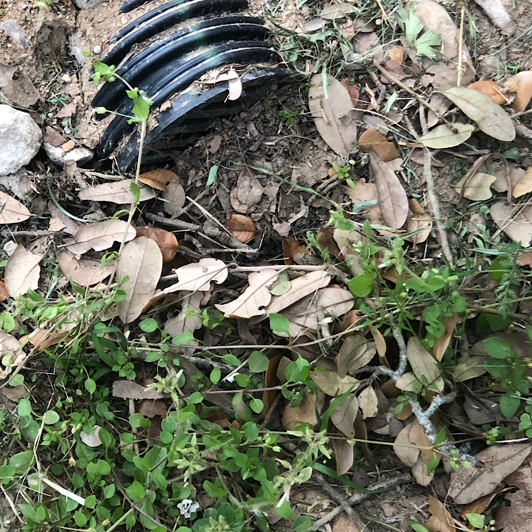 Poorly done French drain