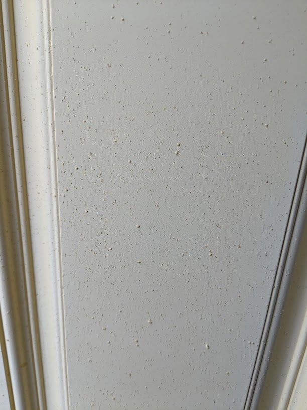 Back door damaged from spray foam