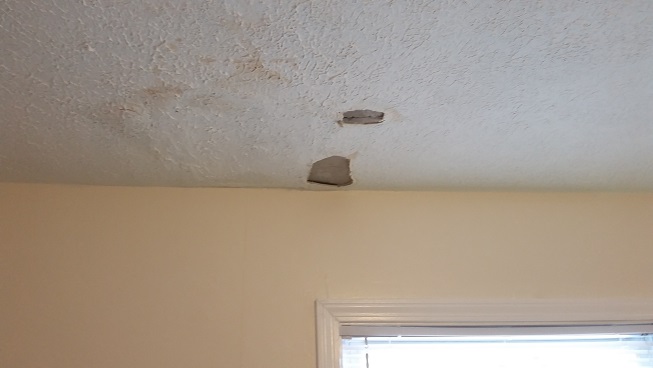 2019 Ceiling Damage