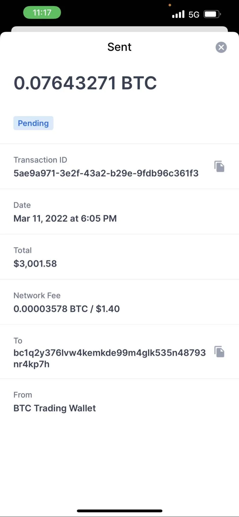The $3000 Bitcoin sent to the Scam Company 