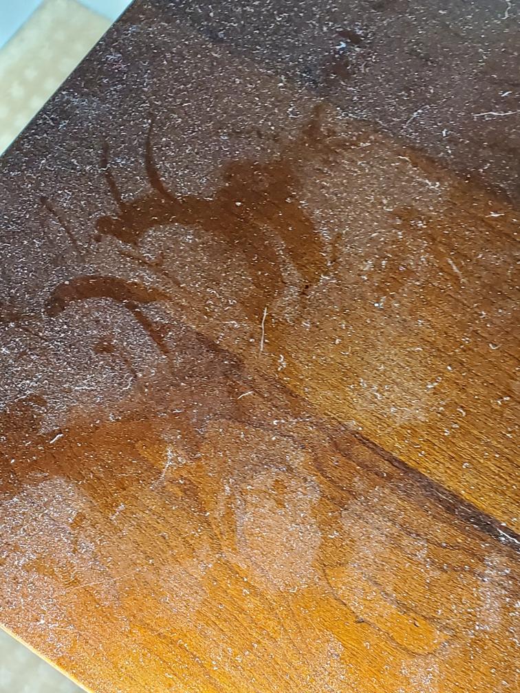 Fiberglass dust on dining room table