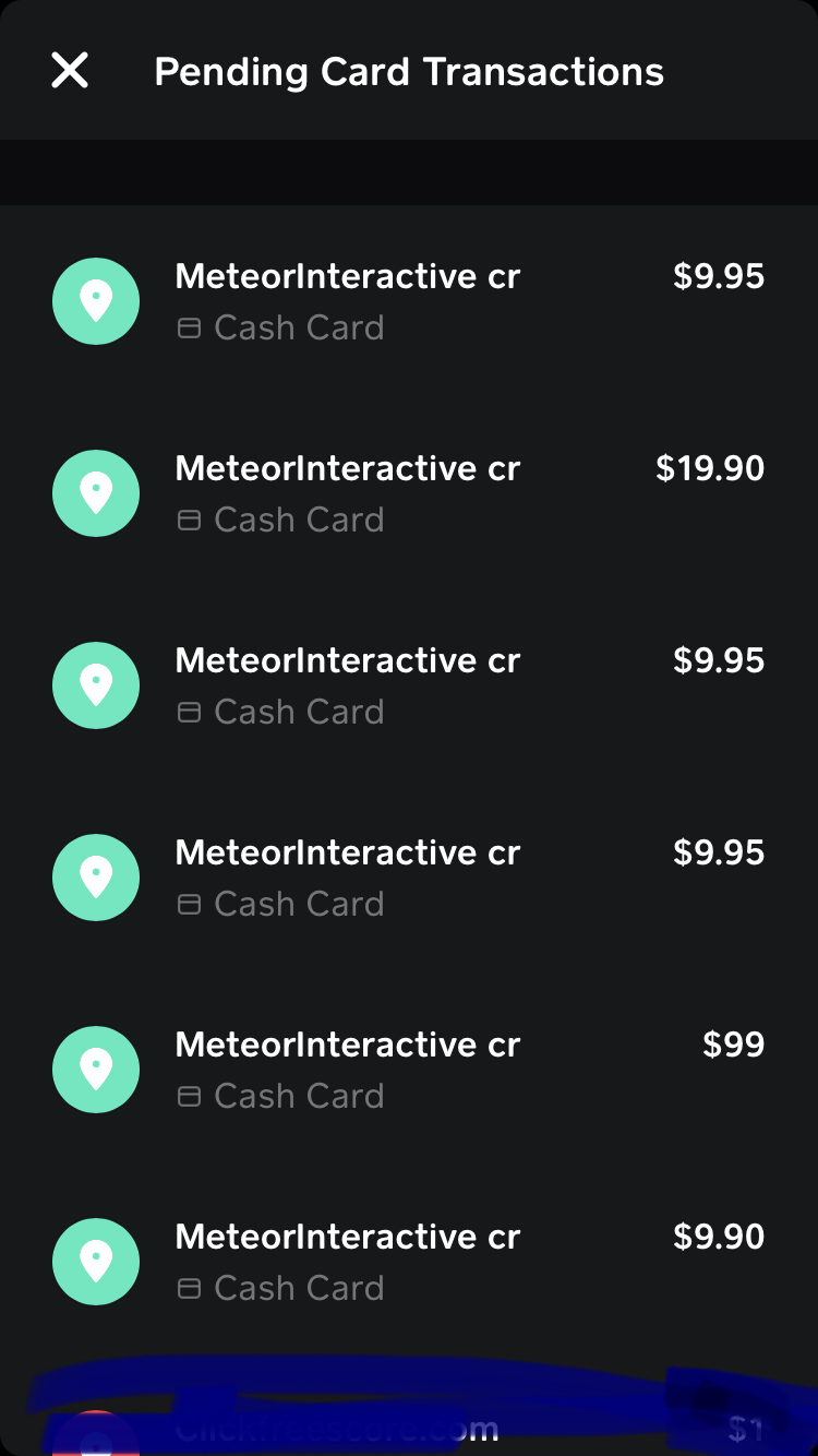 All the transactions that I did not authorize