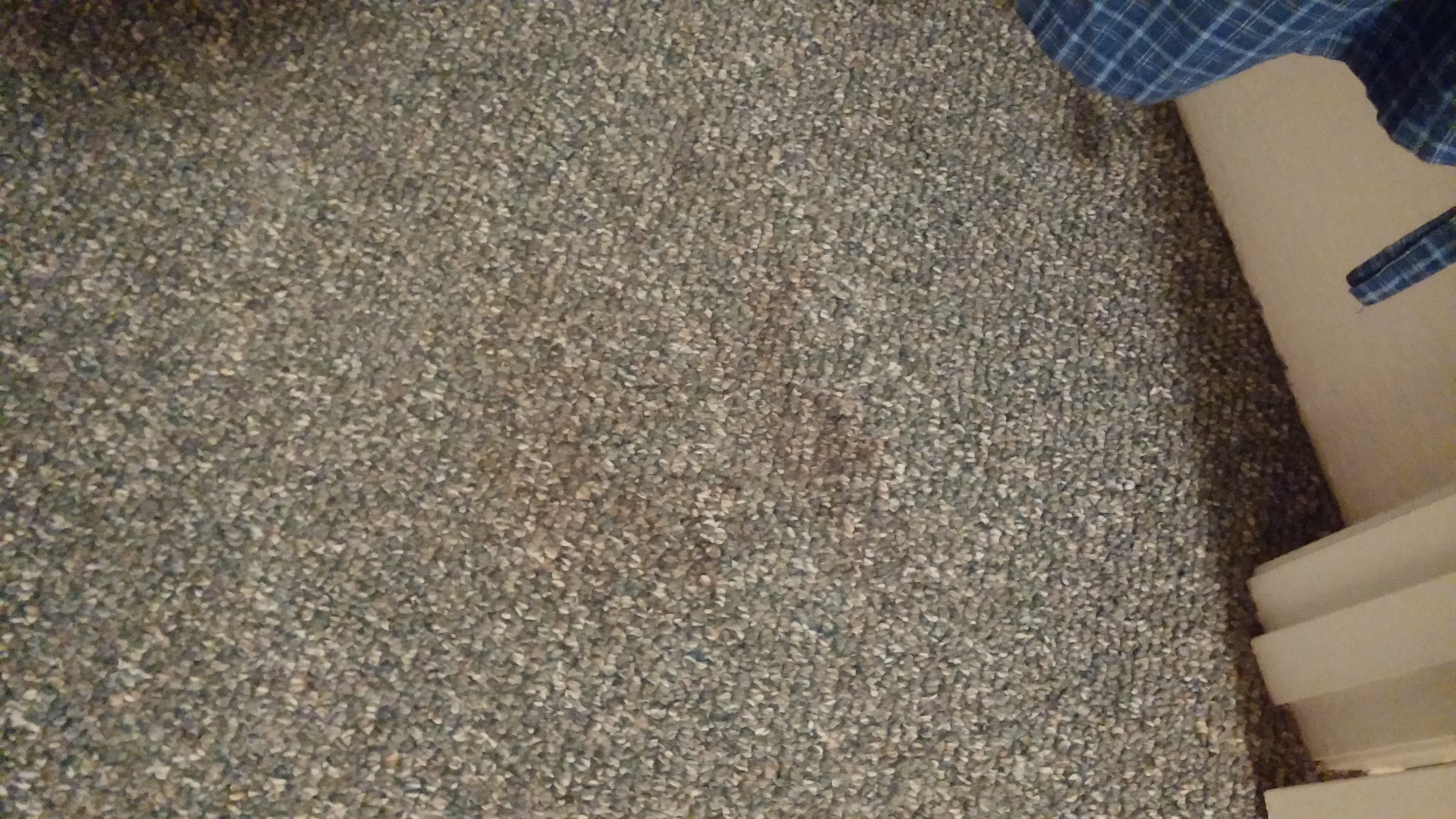 ChemDry Left a Dirty Carpet